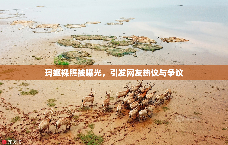 玛姬裸照被曝光，引发网友热议与争议