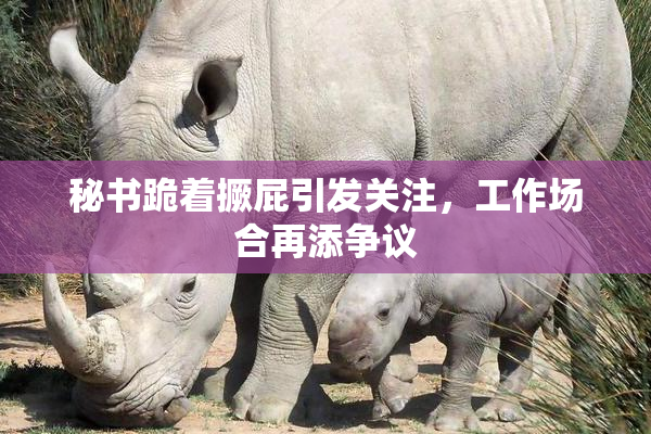 秘书跪着撅屁引发关注，工作场合再添争议