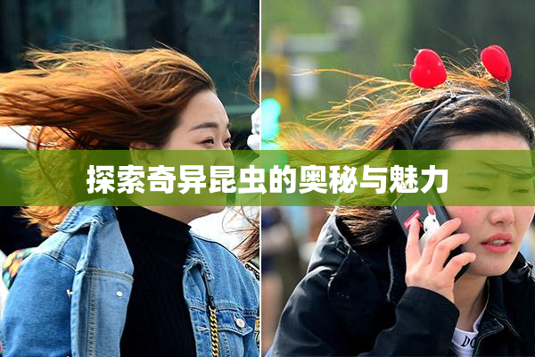 探索奇异昆虫的奥秘与魅力