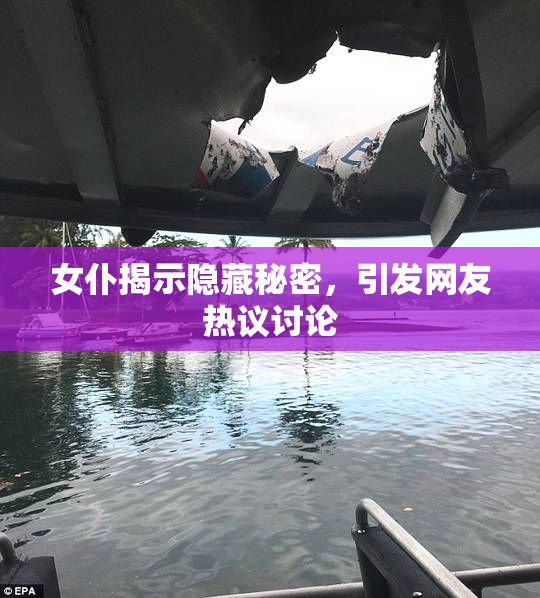 女仆揭示隐藏秘密，引发网友热议讨论