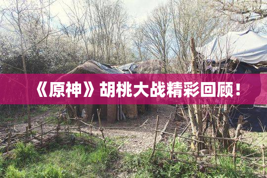 《原神》胡桃大战精彩回顾！