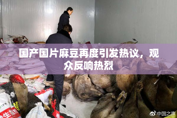 国产国片麻豆再度引发热议，观众反响热烈