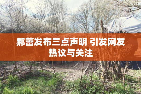 郝蕾发布三点声明 引发网友热议与关注