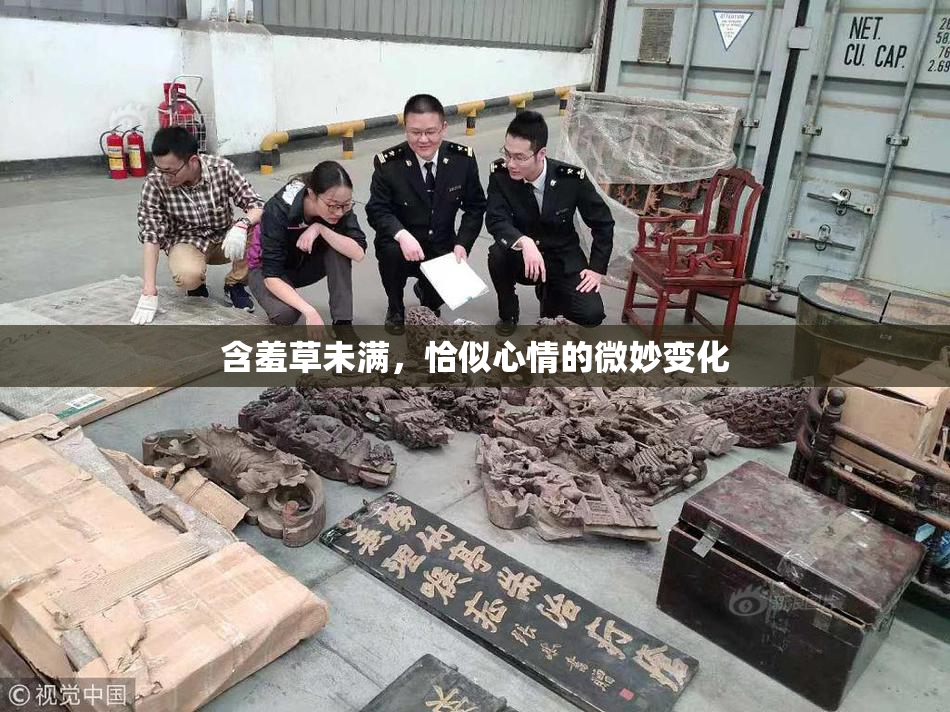 含羞草未满，恰似心情的微妙变化