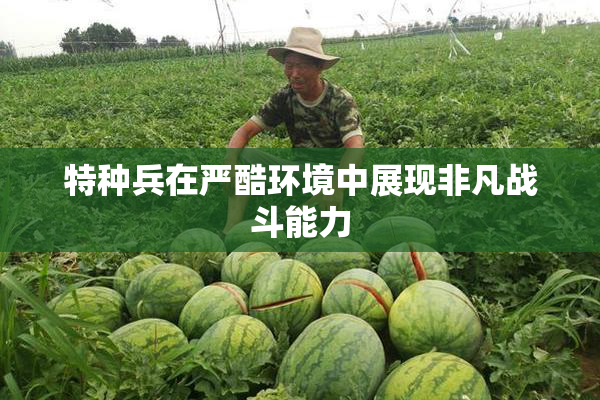 特种兵在严酷环境中展现非凡战斗能力