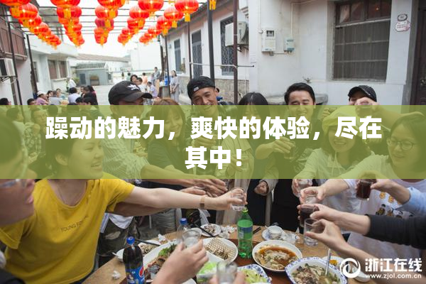 躁动的魅力，爽快的体验，尽在其中！