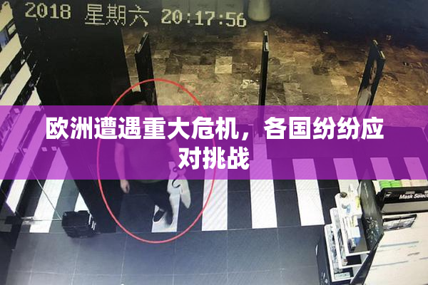 欧洲遭遇重大危机，各国纷纷应对挑战