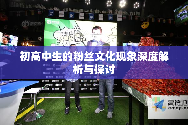 初高中生的粉丝文化现象深度解析与探讨