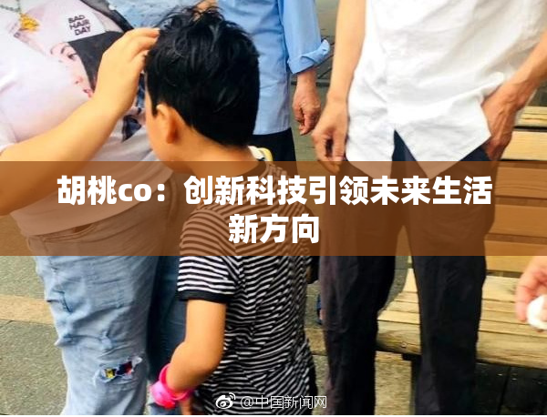 胡桃co：创新科技引领未来生活新方向