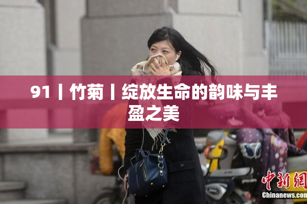 91丨竹菊丨绽放生命的韵味与丰盈之美
