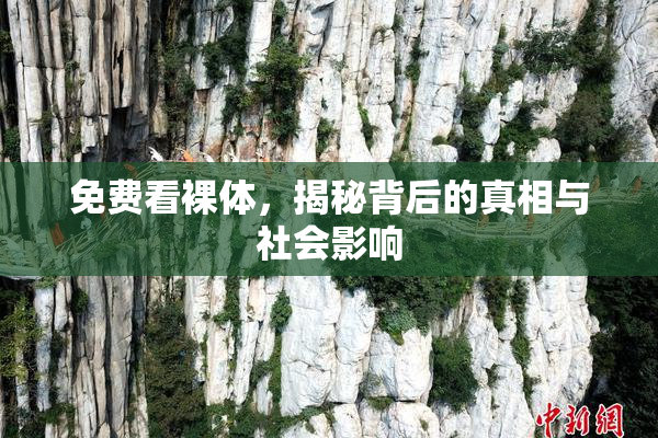 免费看裸体，揭秘背后的真相与社会影响