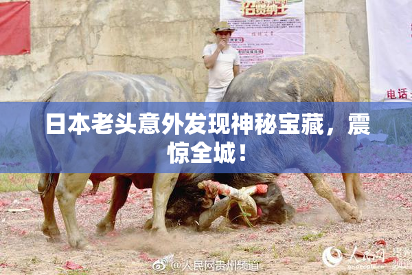 日本老头意外发现神秘宝藏，震惊全城！
