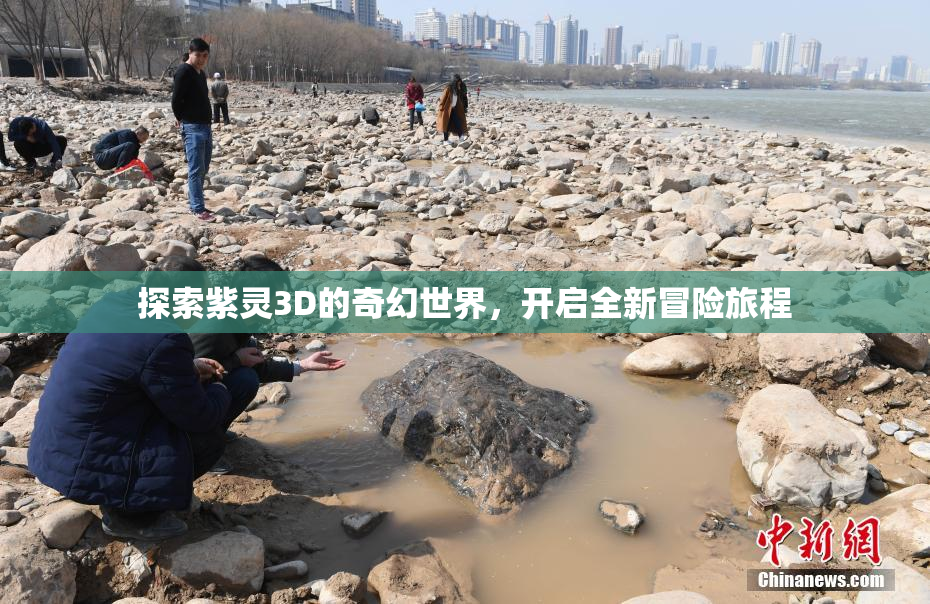探索紫灵3D的奇幻世界，开启全新冒险旅程