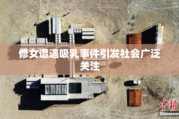 修女遭遇吸乳事件引发社会广泛关注