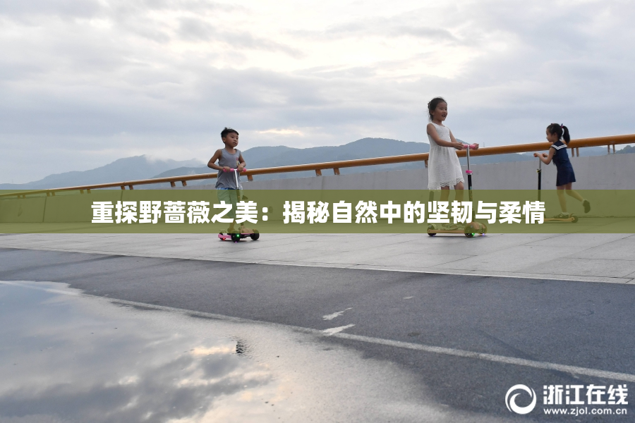 重探野蔷薇之美：揭秘自然中的坚韧与柔情