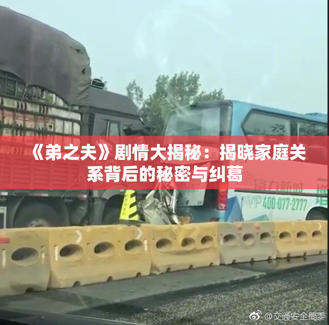 《弟之夫》剧情大揭秘：揭晓家庭关系背后的秘密与纠葛