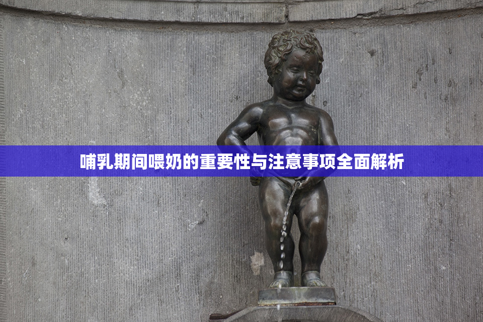 哺乳期间喂奶的重要性与注意事项全面解析