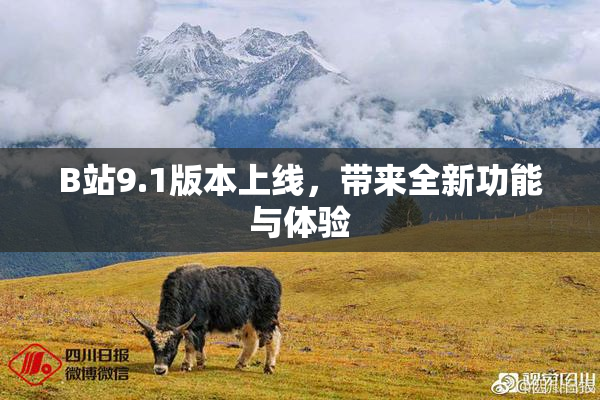 B站9.1版本上线，带来全新功能与体验