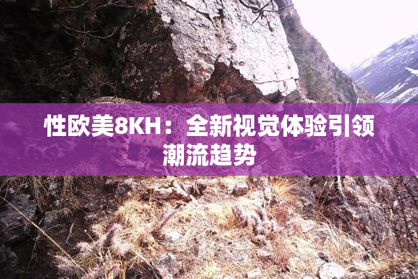 性欧美8KH：全新视觉体验引领潮流趋势