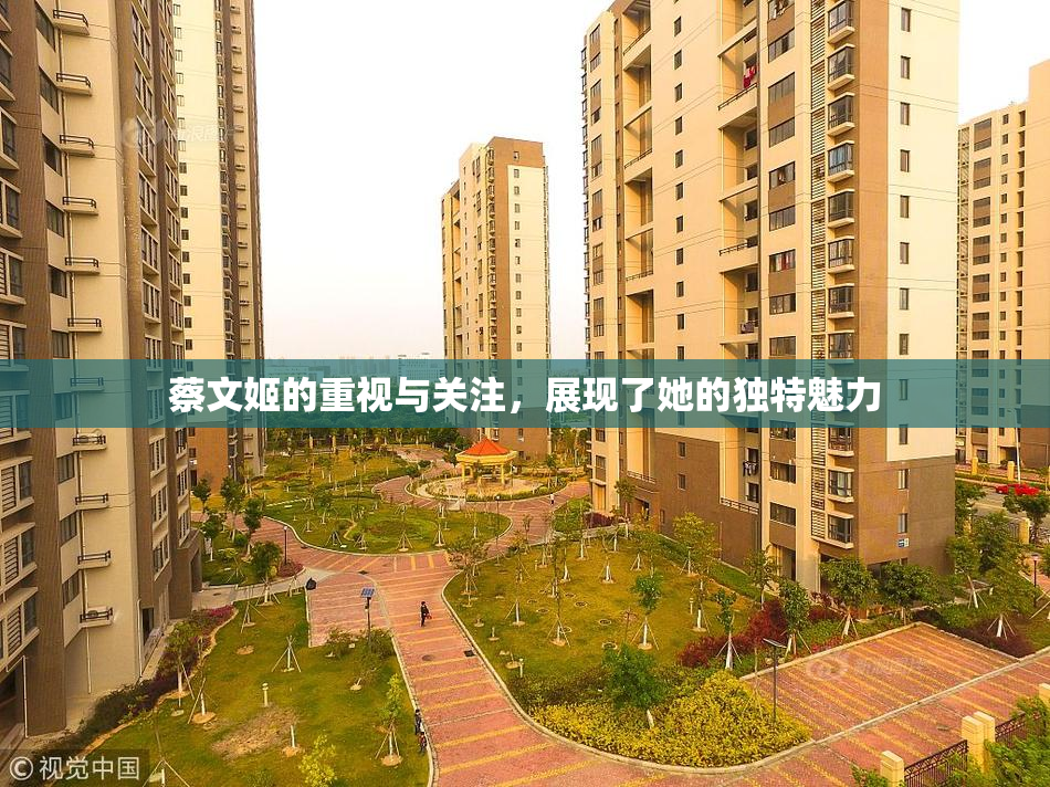 蔡文姬的重视与关注，展现了她的独特魅力