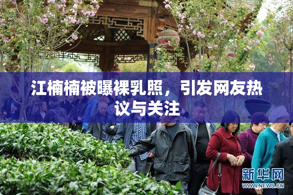 江楠楠被曝裸乳照，引发网友热议与关注