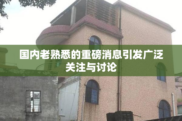国内老熟悉的重磅消息引发广泛关注与讨论