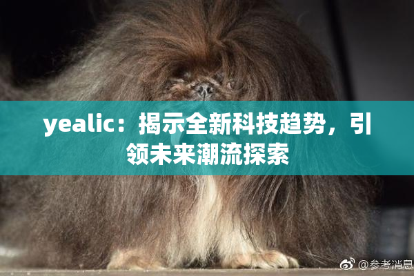 yealic：揭示全新科技趋势，引领未来潮流探索
