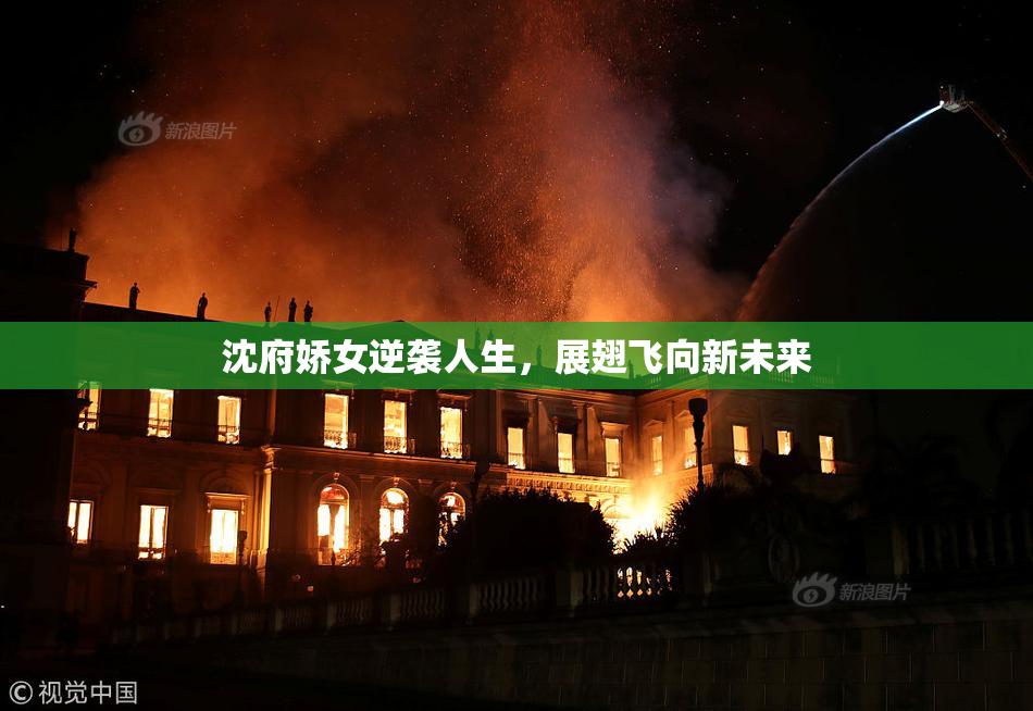 沈府娇女逆袭人生，展翅飞向新未来