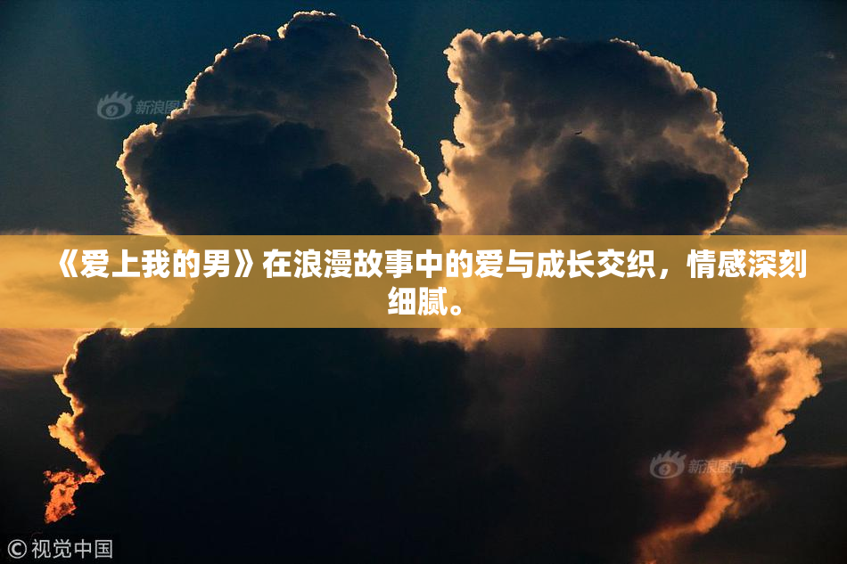 《爱上我的男》在浪漫故事中的爱与成长交织，情感深刻细腻。