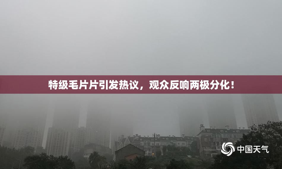 特级毛片片引发热议，观众反响两极分化！