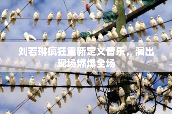 刘若琳疯狂重新定义音乐，演出现场燃爆全场