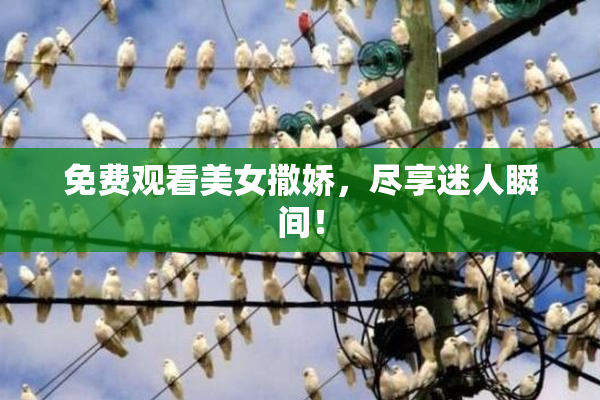 免费观看美女撒娇，尽享迷人瞬间！