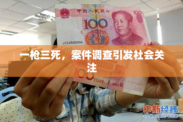 一枪三死，案件调查引发社会关注