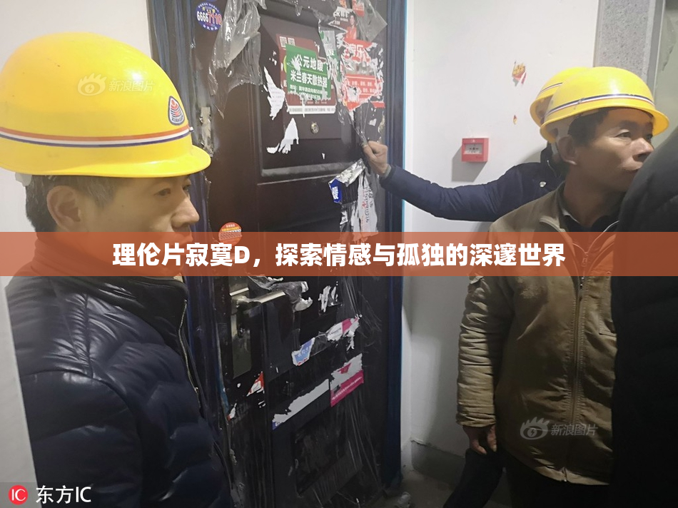 理伦片寂寞D，探索情感与孤独的深邃世界
