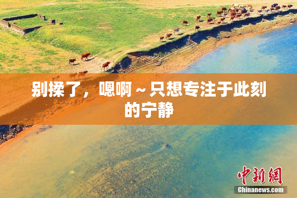 别揉了，嗯啊～只想专注于此刻的宁静