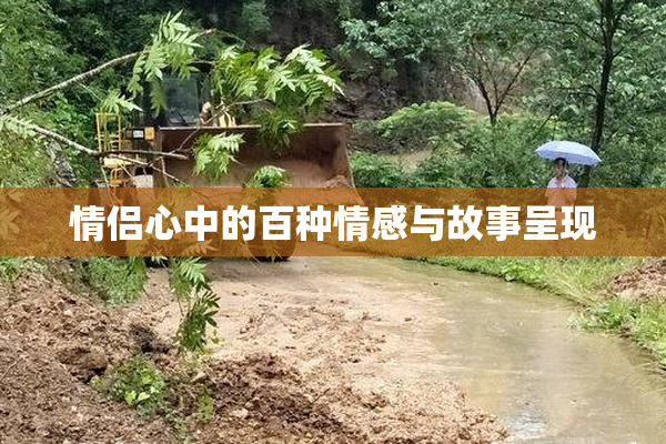 情侣心中的百种情感与故事呈现