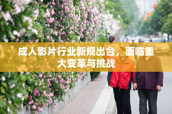 成人影片行业新规出台，面临重大变革与挑战