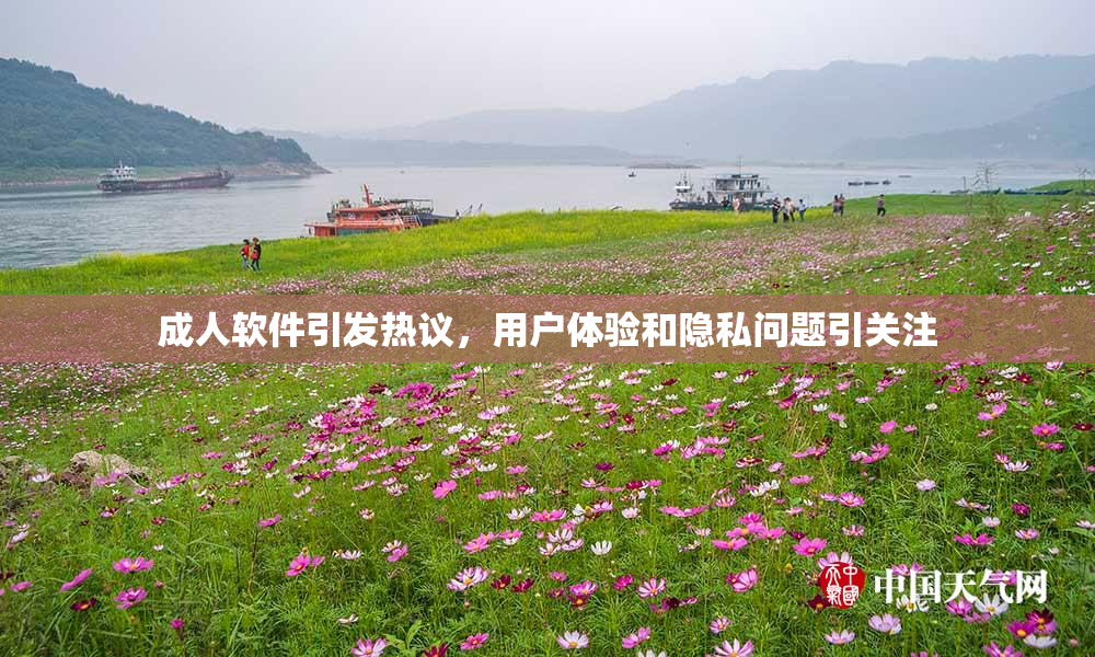 成人软件引发热议，用户体验和隐私问题引关注
