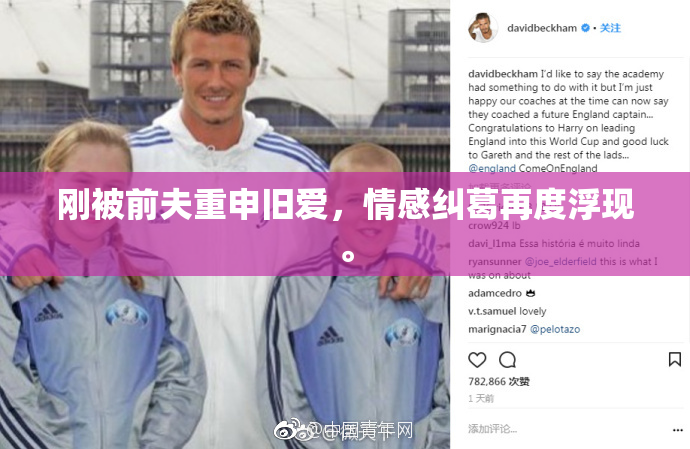 刚被前夫重申旧爱，情感纠葛再度浮现。