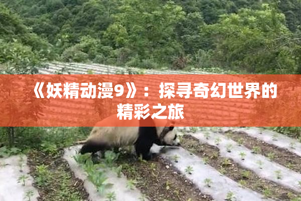 《妖精动漫9》：探寻奇幻世界的精彩之旅
