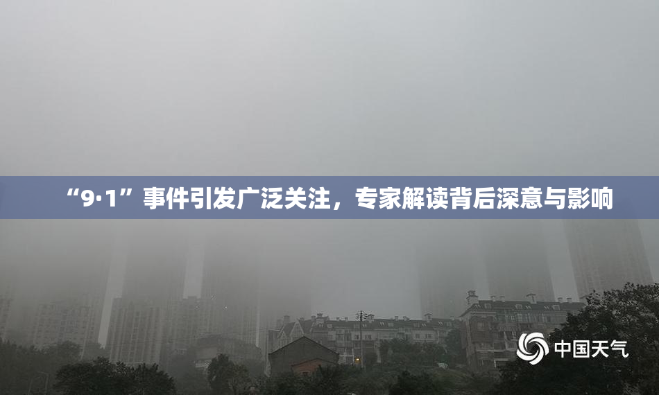 “9·1”事件引发广泛关注，专家解读背后深意与影响