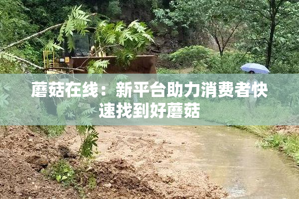 蘑菇在线：新平台助力消费者快速找到好蘑菇