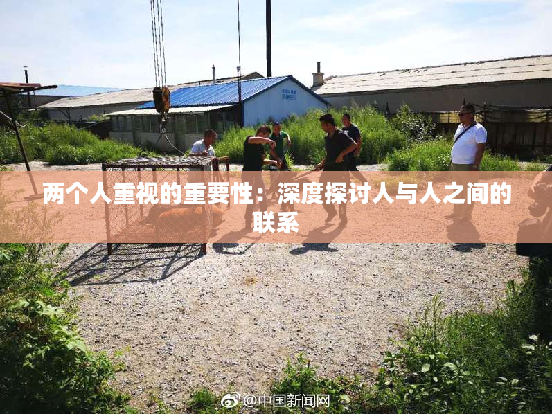 两个人重视的重要性：深度探讨人与人之间的联系