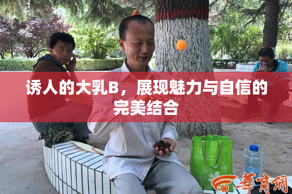 诱人的大乳B，展现魅力与自信的完美结合