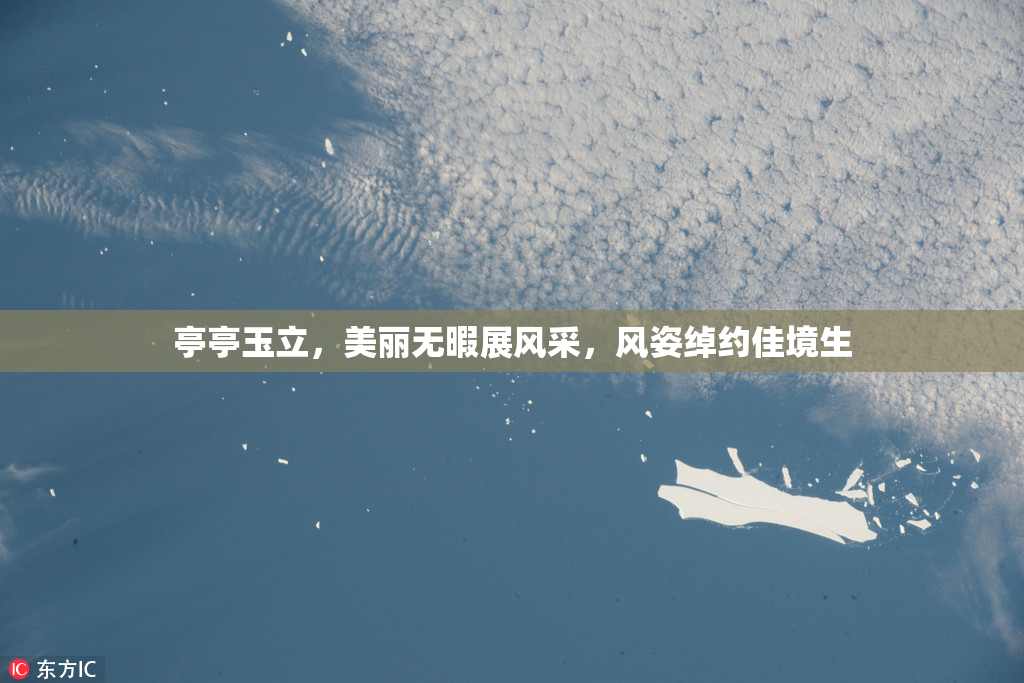 亭亭玉立，美丽无暇展风采，风姿绰约佳境生