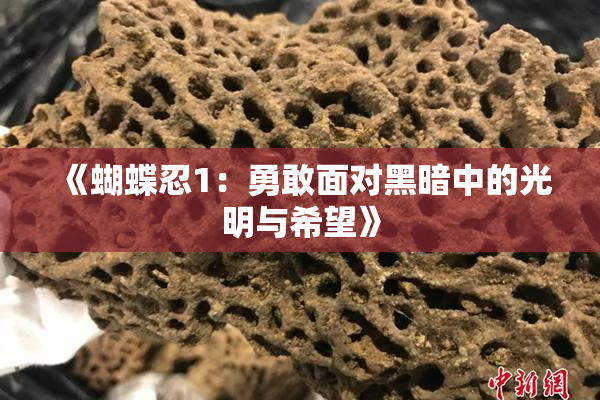 《蝴蝶忍1：勇敢面对黑暗中的光明与希望》