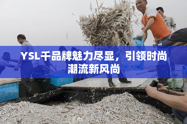YSL千品牌魅力尽显，引领时尚潮流新风尚
