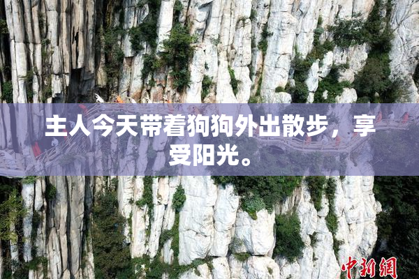 主人今天带着狗狗外出散步，享受阳光。