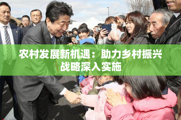 农村发展新机遇：助力乡村振兴战略深入实施