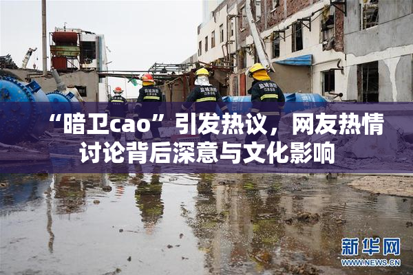 “暗卫cao”引发热议，网友热情讨论背后深意与文化影响